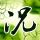 东野圭吾推理系列