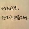 速度与激情6